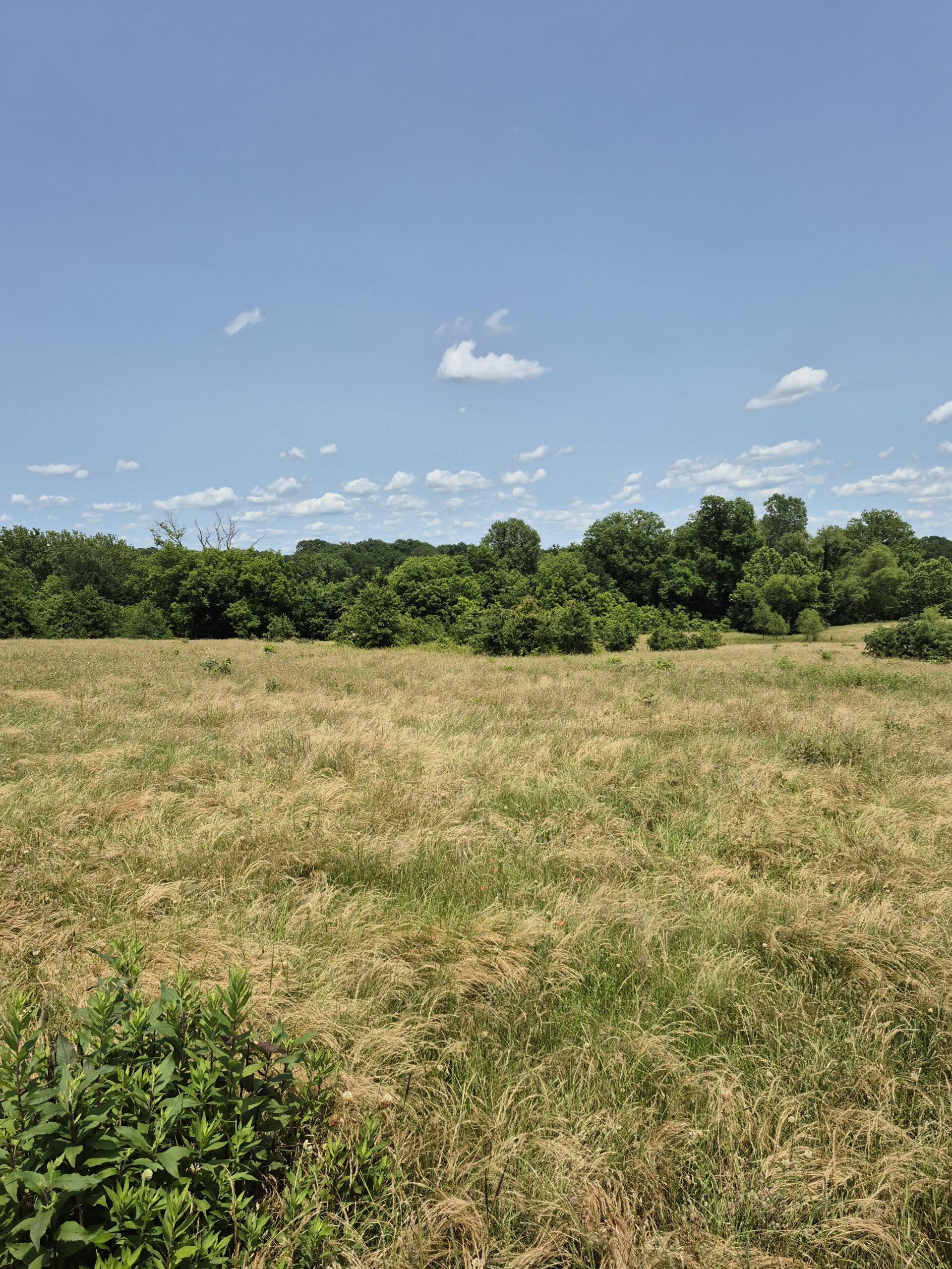 Recreational hunters dream location Bennington OK