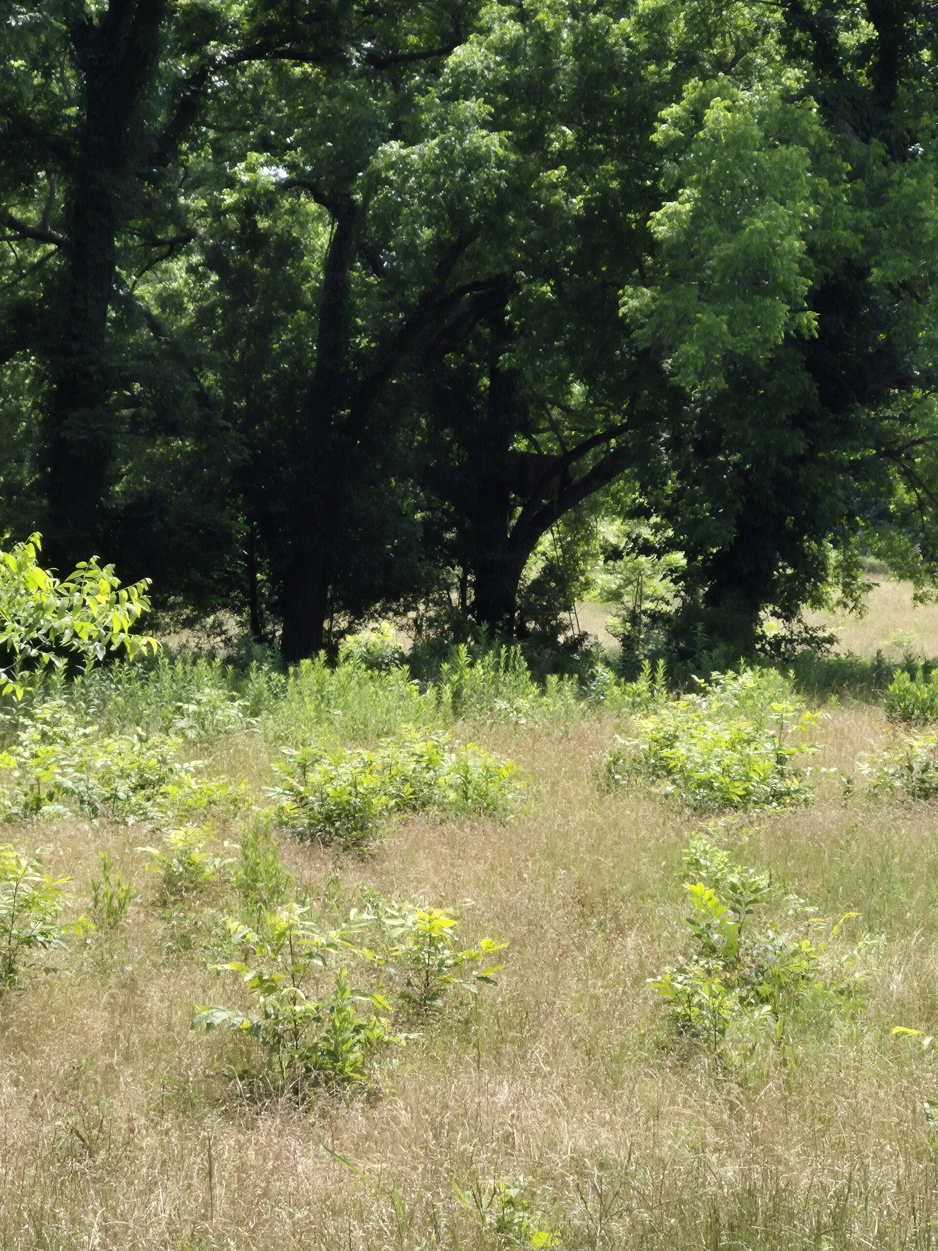 Recreational hunters dream location Bennington OK
