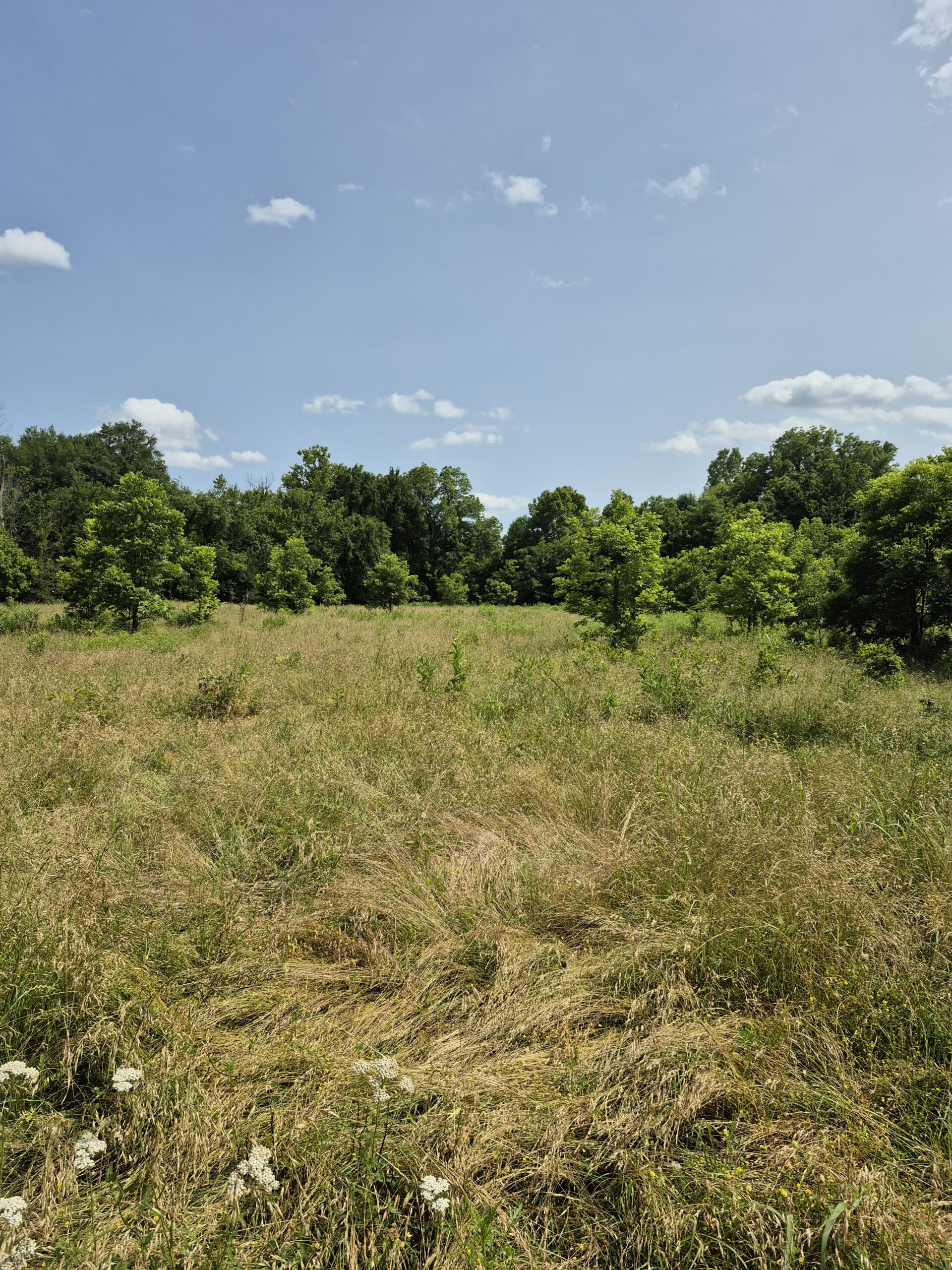 Recreational hunters dream location Bennington OK