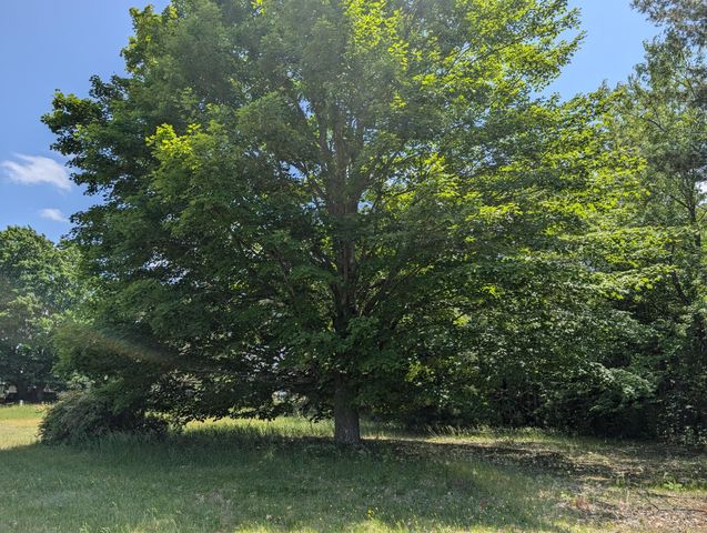 Farmhouse on 36 Acres with Pond, Woods & Wildlife – Cadillac, MI