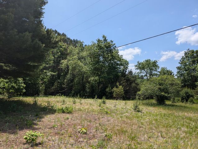 Farmhouse on 36 Acres with Pond, Woods & Wildlife – Cadillac, MI