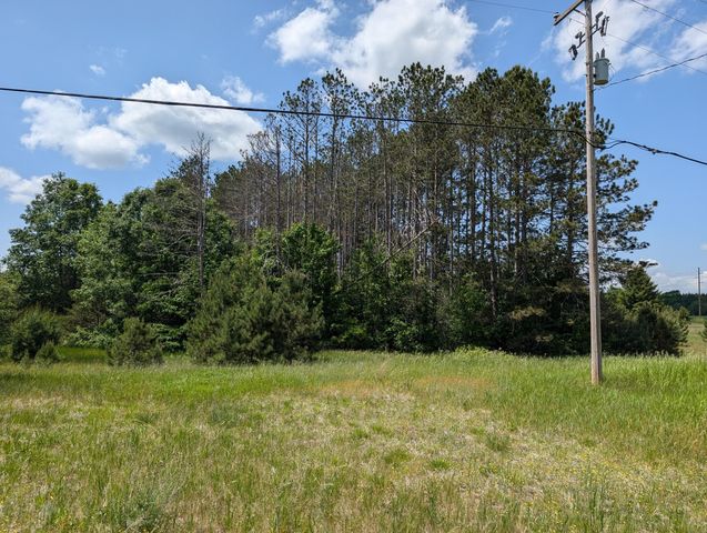 Farmhouse on 36 Acres with Pond, Woods & Wildlife – Cadillac, MI