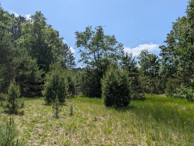 Farmhouse on 36 Acres with Pond, Woods & Wildlife – Cadillac, MI