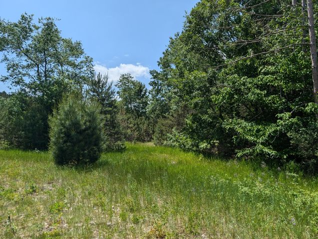 Farmhouse on 36 Acres with Pond, Woods & Wildlife – Cadillac, MI