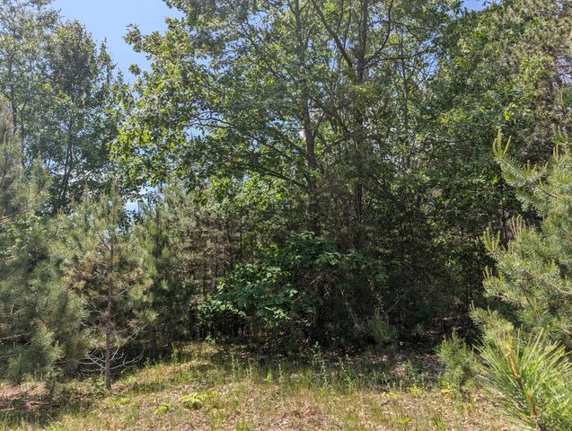 Farmhouse on 36 Acres with Pond, Woods & Wildlife – Cadillac, MI