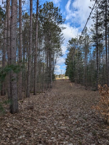 Farmhouse on 36 Acres with Pond, Woods & Wildlife – Cadillac, MI