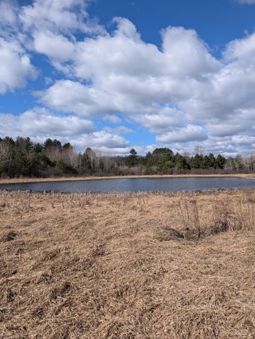 Farmhouse on 36 Acres with Pond, Woods & Wildlife – Cadillac, MI