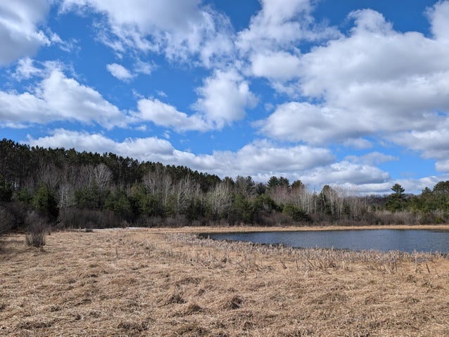 Farmhouse on 36 Acres with Pond, Woods & Wildlife – Cadillac, MI