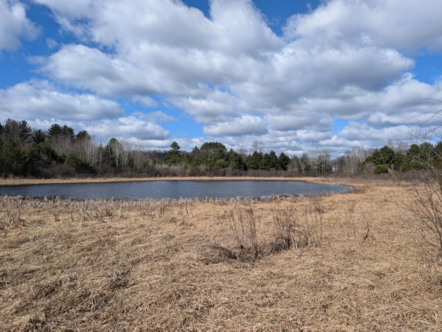 Farmhouse on 36 Acres with Pond, Woods & Wildlife – Cadillac, MI