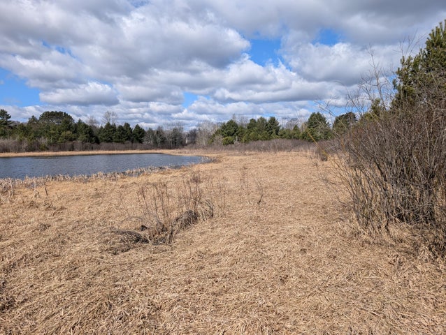Farmhouse on 36 Acres with Pond, Woods & Wildlife – Cadillac, MI