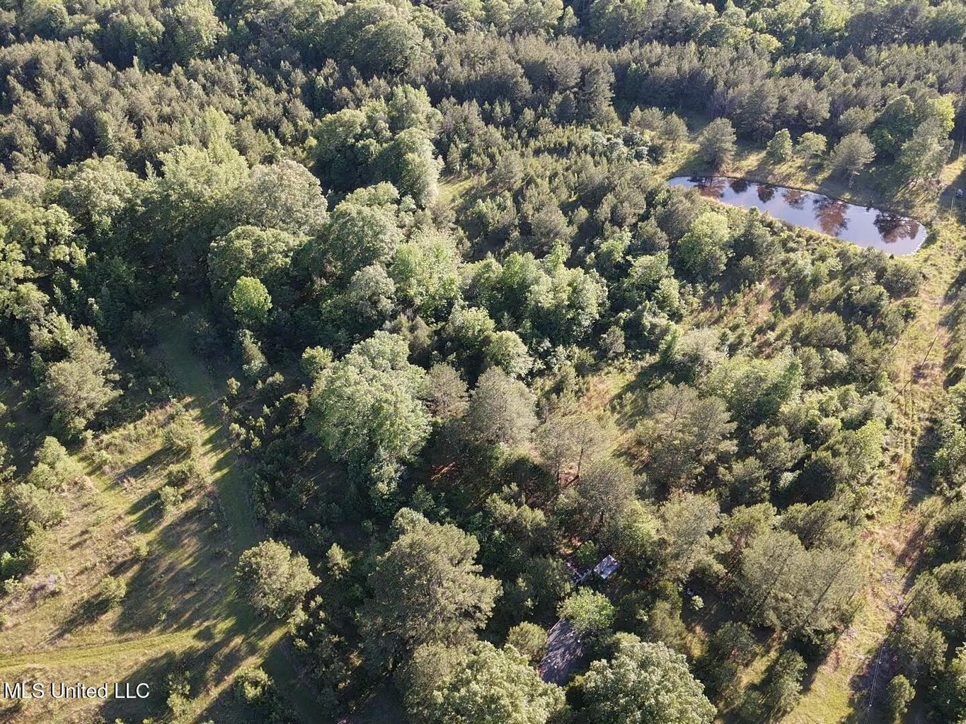 Great Homesite and Hunting Tract in Hermanville, MS