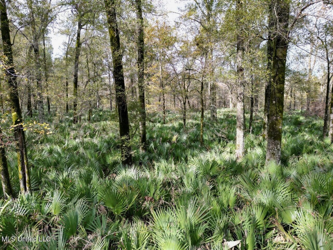 Tensas Parish LA – The Glade Hunting Property