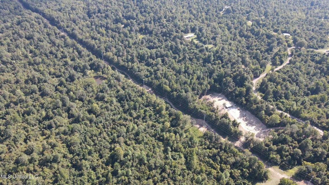 60 Acres For Sale In Yazoo County, MS
