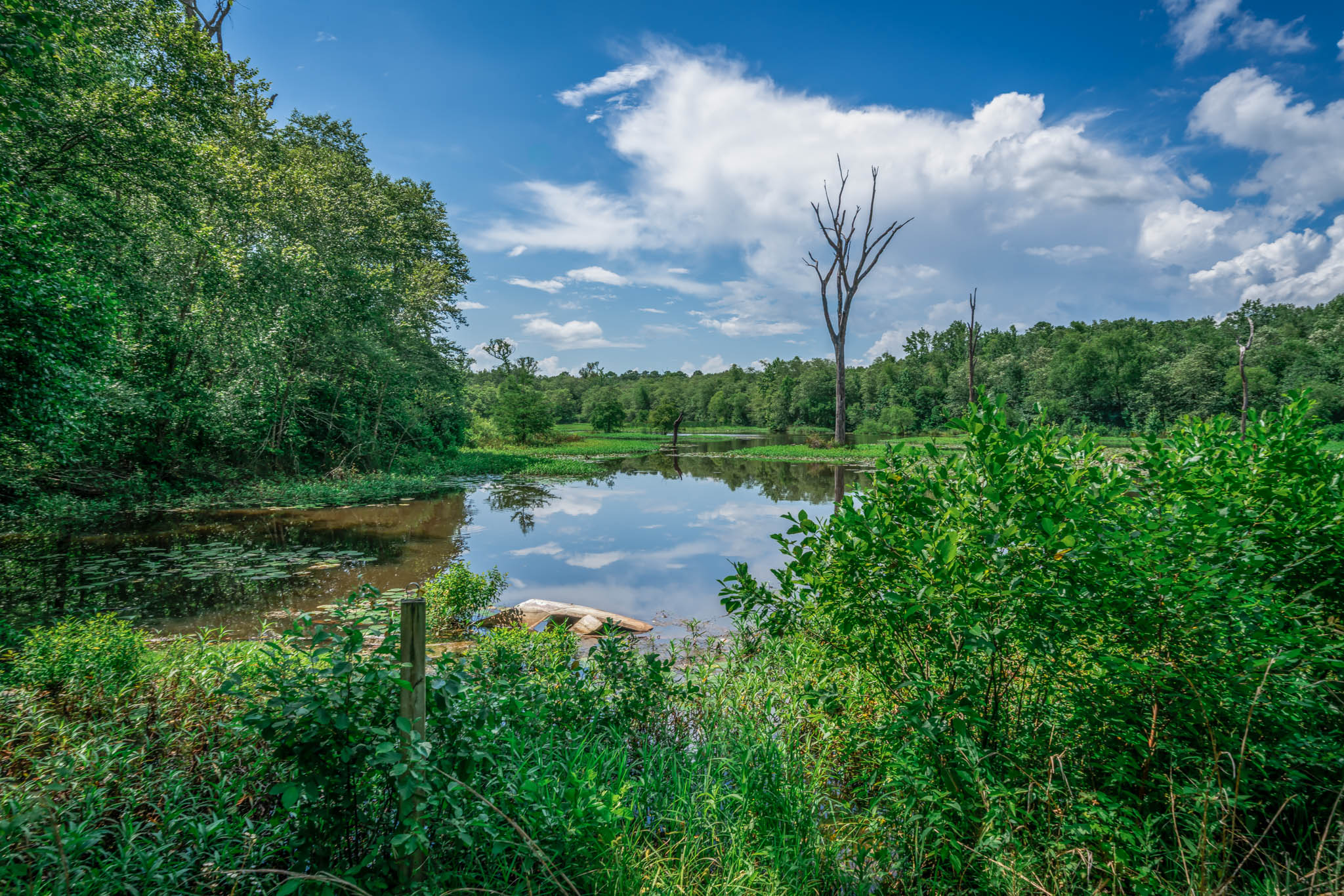 Gorgeous Acreage with Private Lake and Large House