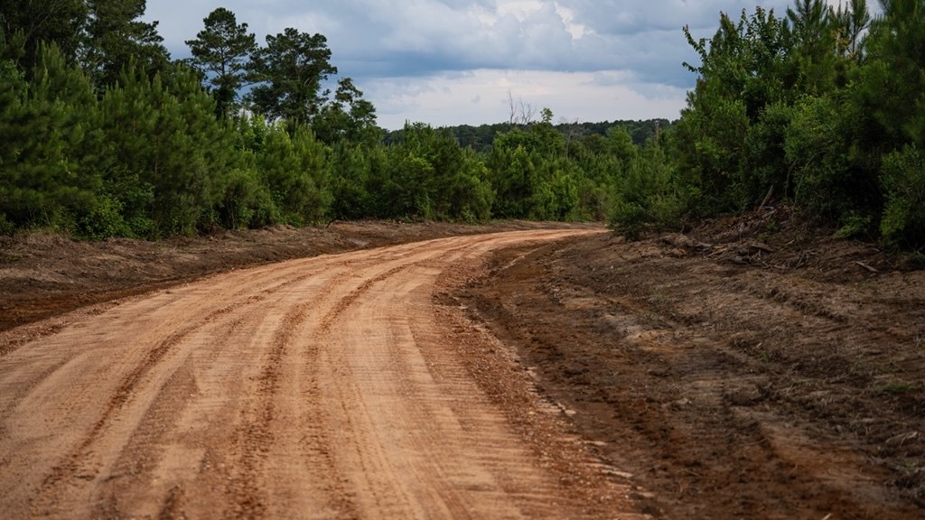 Mississippi Hunting Land – Easy 88 in Magnolia/Osyka
