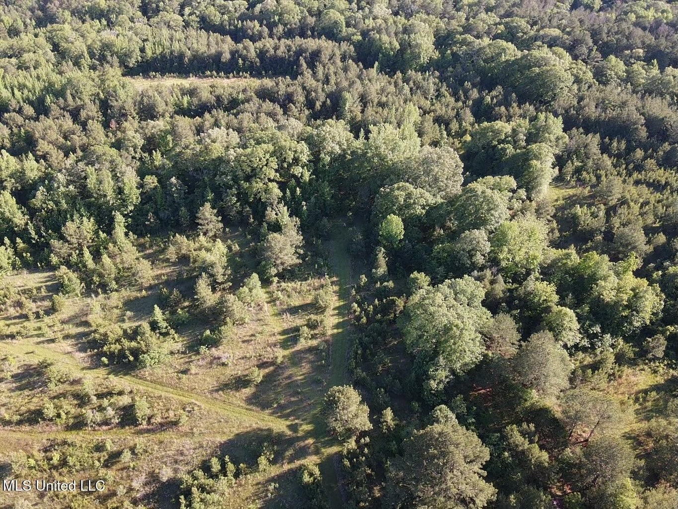 Great Homesite and Hunting Tract in Hermanville, MS