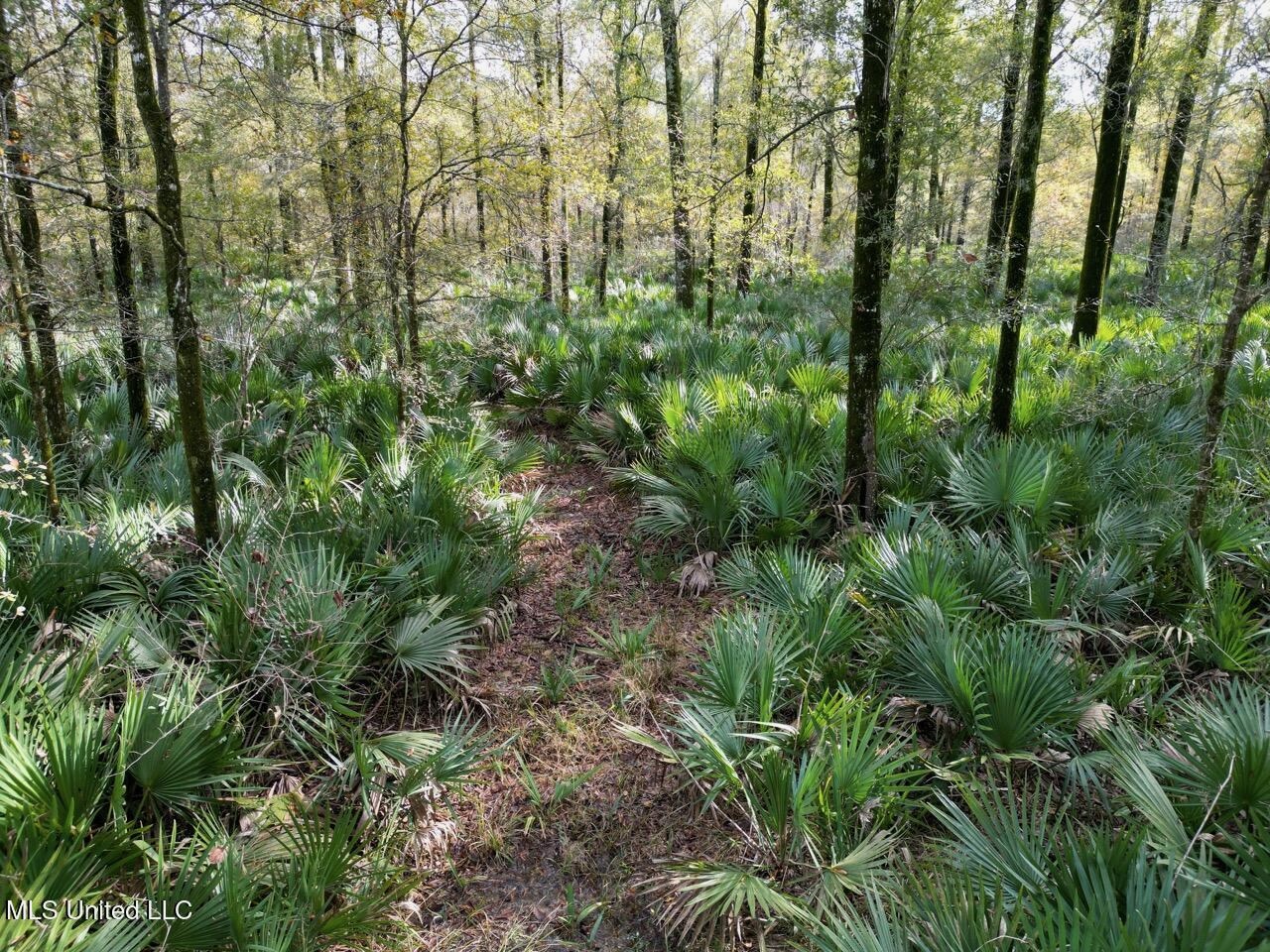 Tensas Parish LA – The Glade Hunting Property