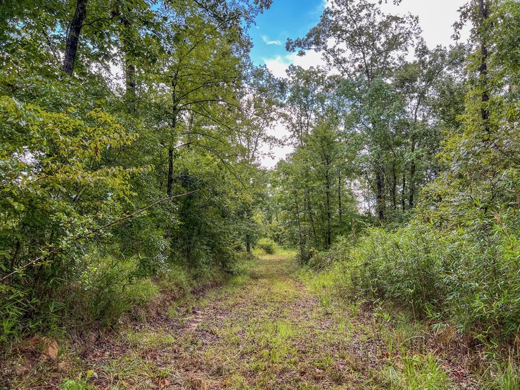 Hunting Land for Sale in Hinds County, MS