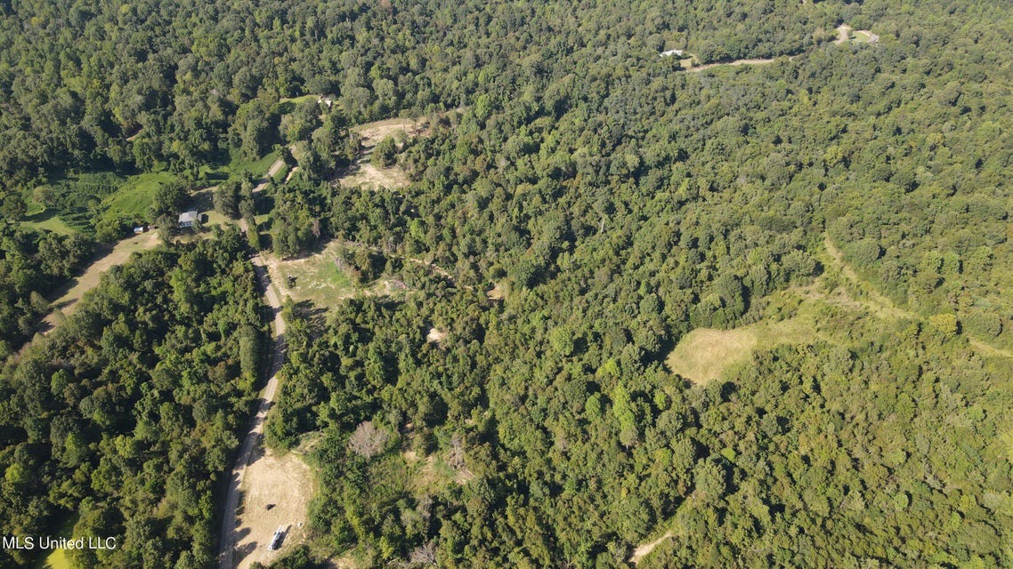 60 Acres For Sale In Yazoo County, MS