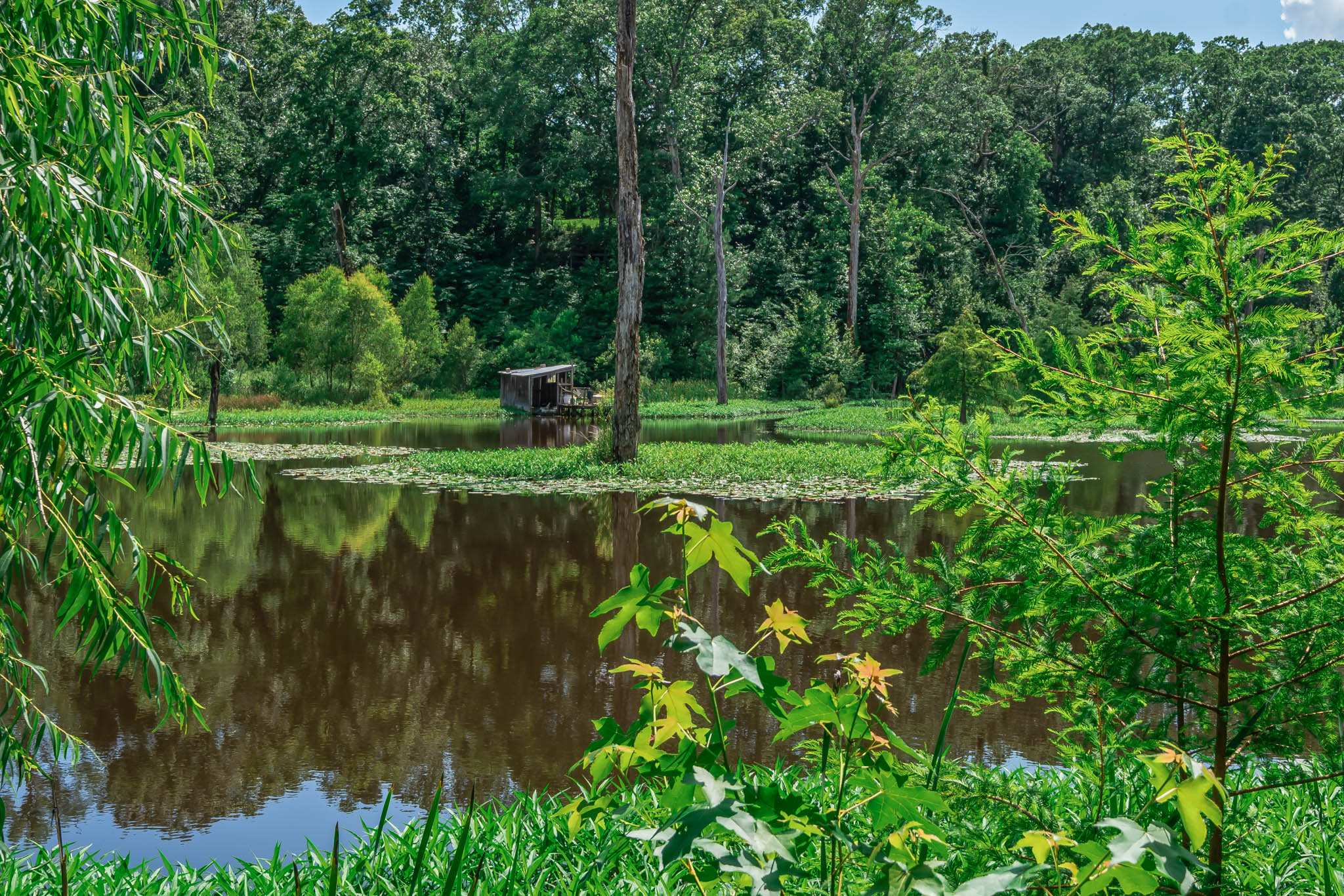 Gorgeous Acreage with Private Lake and Large House