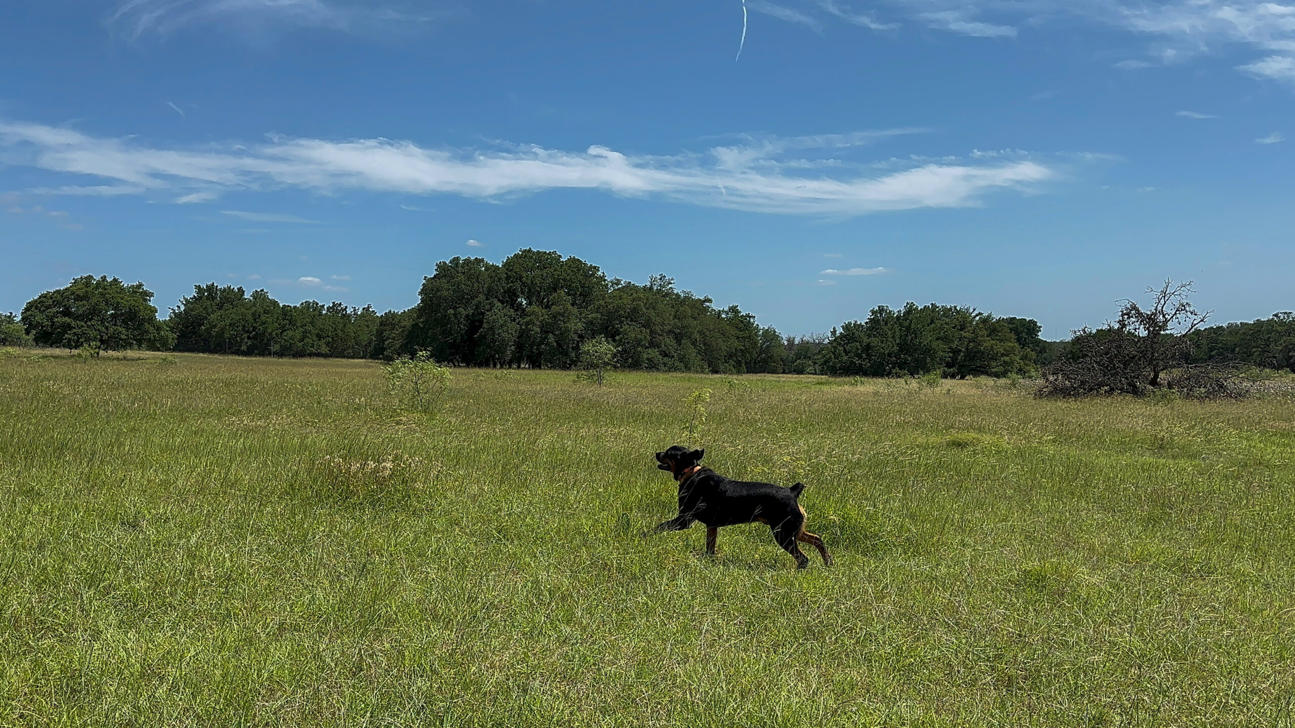 Own a Stunning Piece of Central Texas Land – Build, Hunt, or Escape