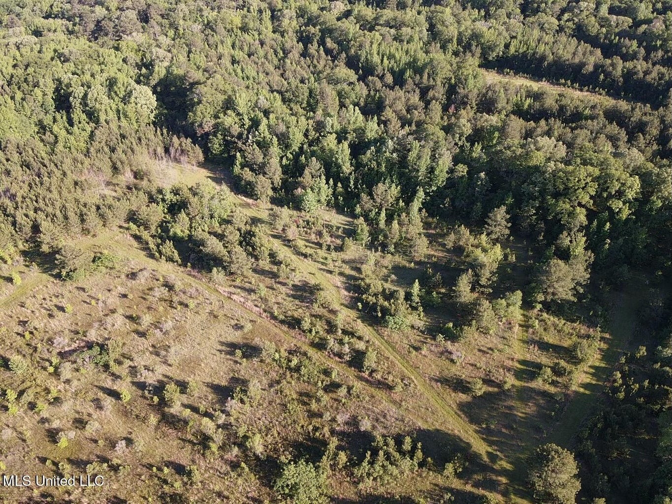 Great Homesite and Hunting Tract in Hermanville, MS