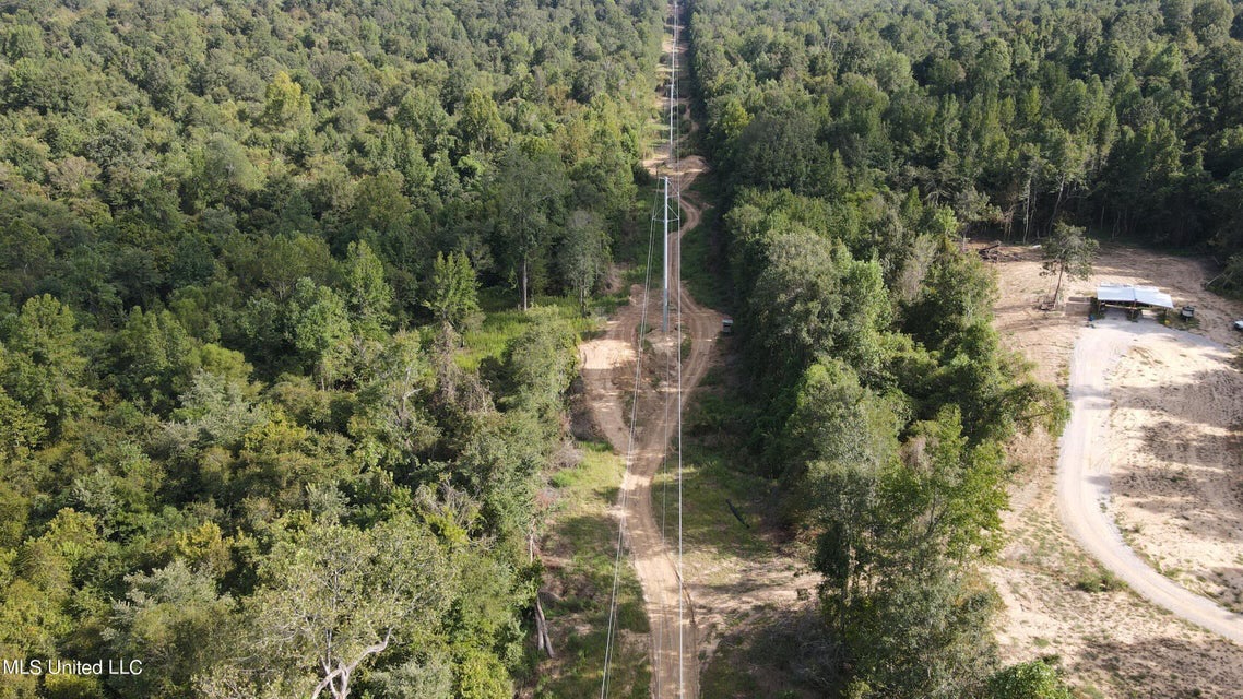 60 Acres For Sale In Yazoo County, MS