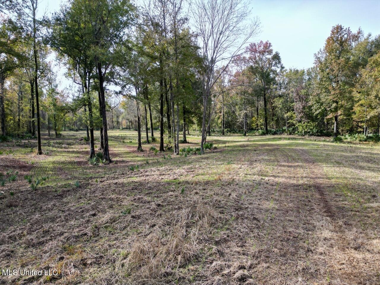 Tensas Parish LA – The Glade Hunting Property