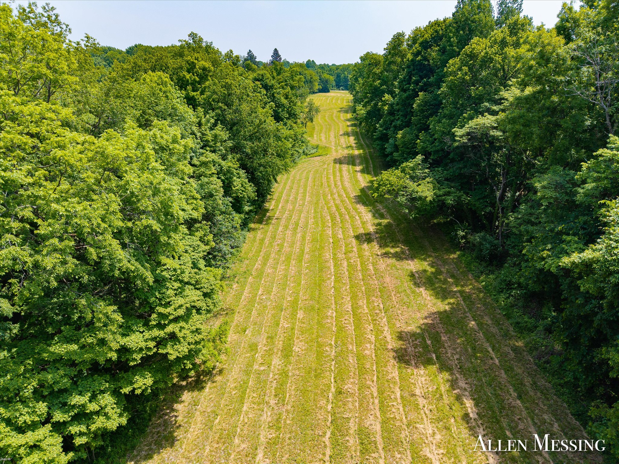 31+ Acre Property Excellent Hunting Habitat Allegan Cty MI