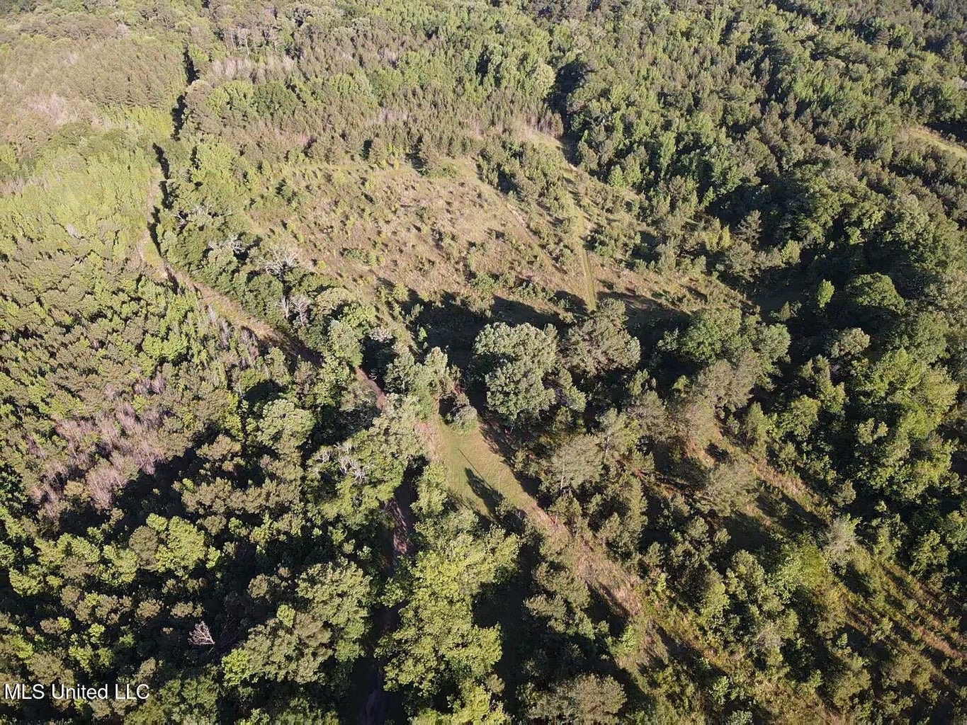Great Homesite and Hunting Tract in Hermanville, MS