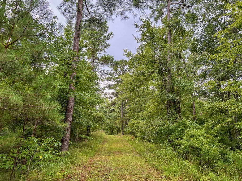 Hunting Land for Sale in Hinds County, MS