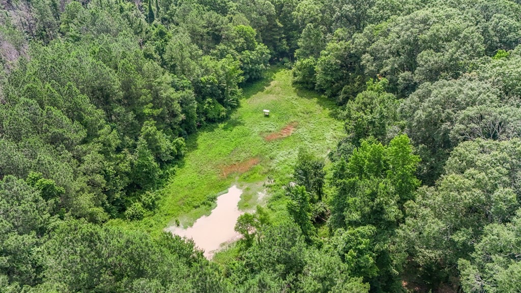 345 Acres with Camp, Creek bordering National Forest in SWMS