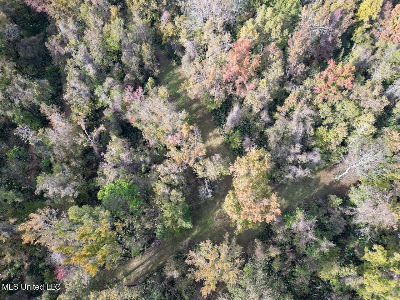 Tensas Parish LA – The Glade Hunting Property