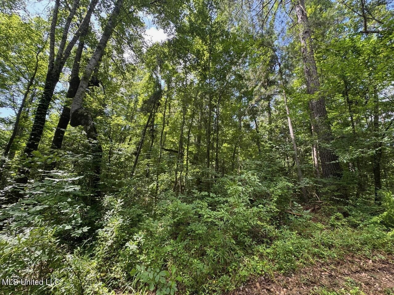 28+- Acres for Sale in Natchez, MS