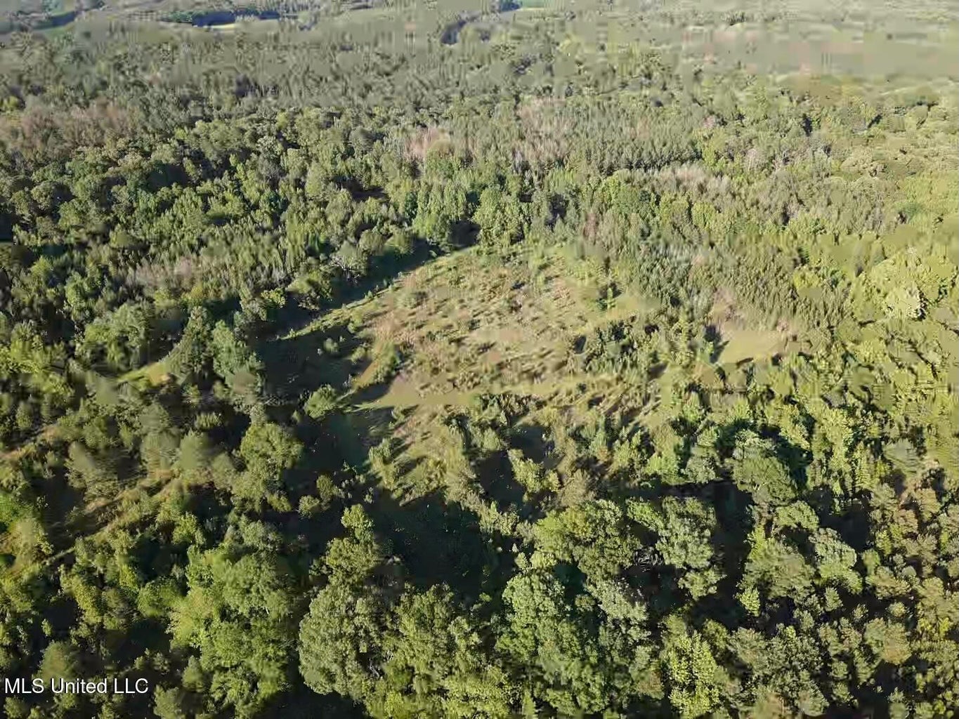 Great Homesite and Hunting Tract in Hermanville, MS