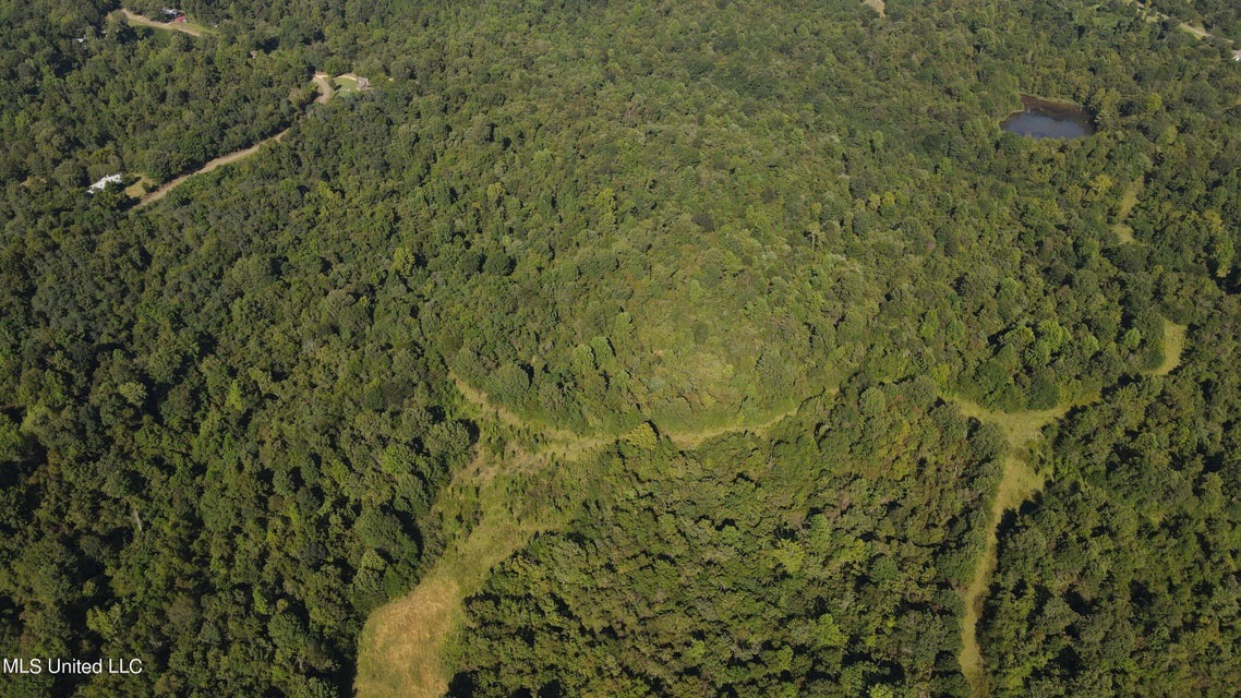 60 Acres For Sale In Yazoo County, MS