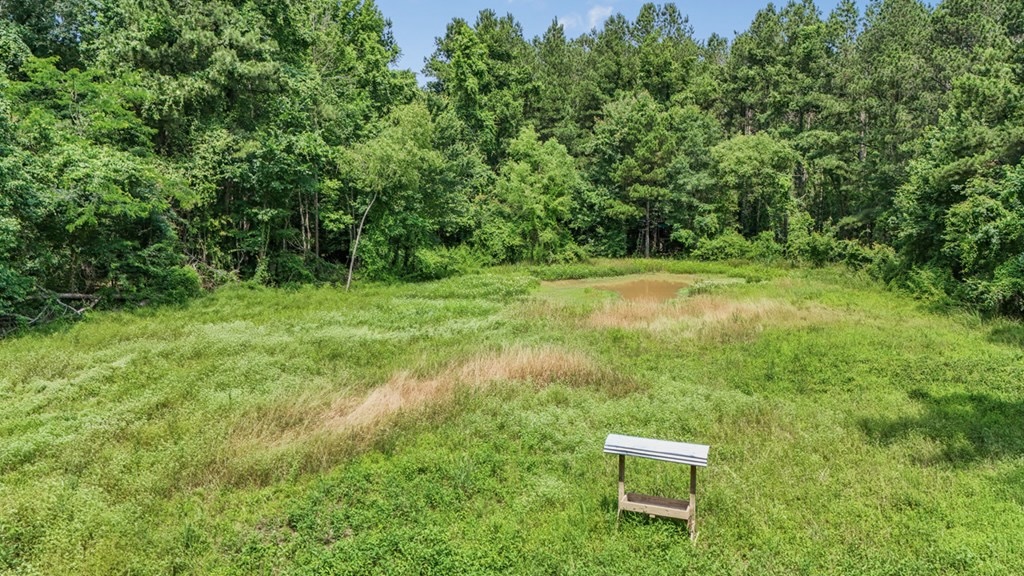 345 Acres with Camp, Creek bordering National Forest in SWMS