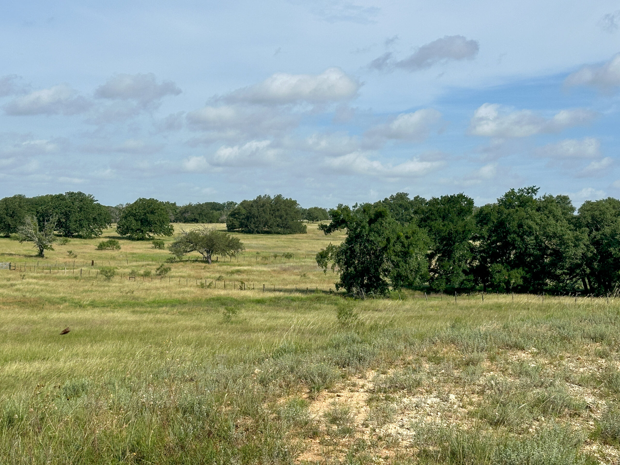 Own a Stunning Piece of Central Texas Land – Build, Hunt, or Escape