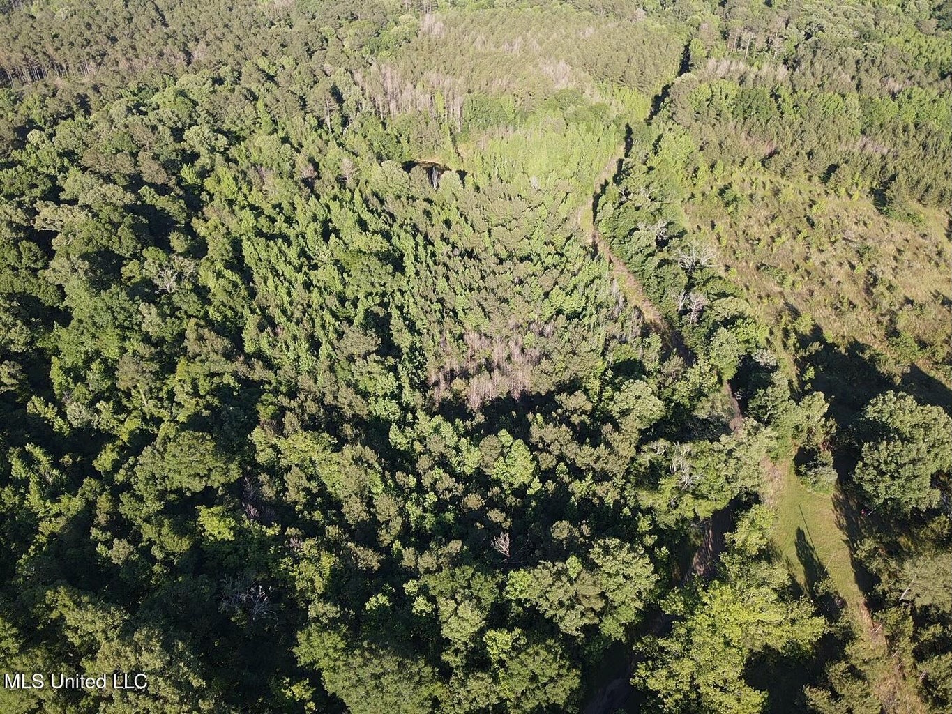 Great Homesite and Hunting Tract in Hermanville, MS