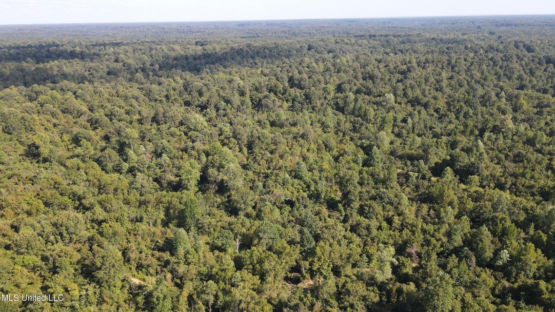 60 Acres For Sale In Yazoo County, MS