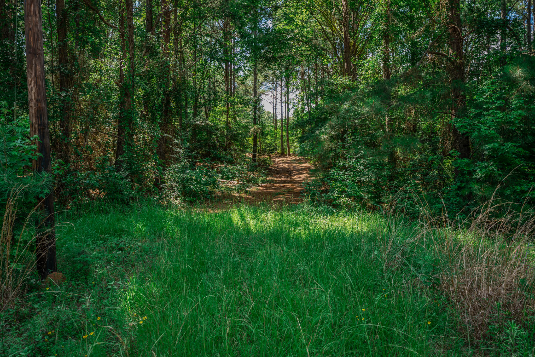 Gorgeous Acreage with Private Lake and Large House