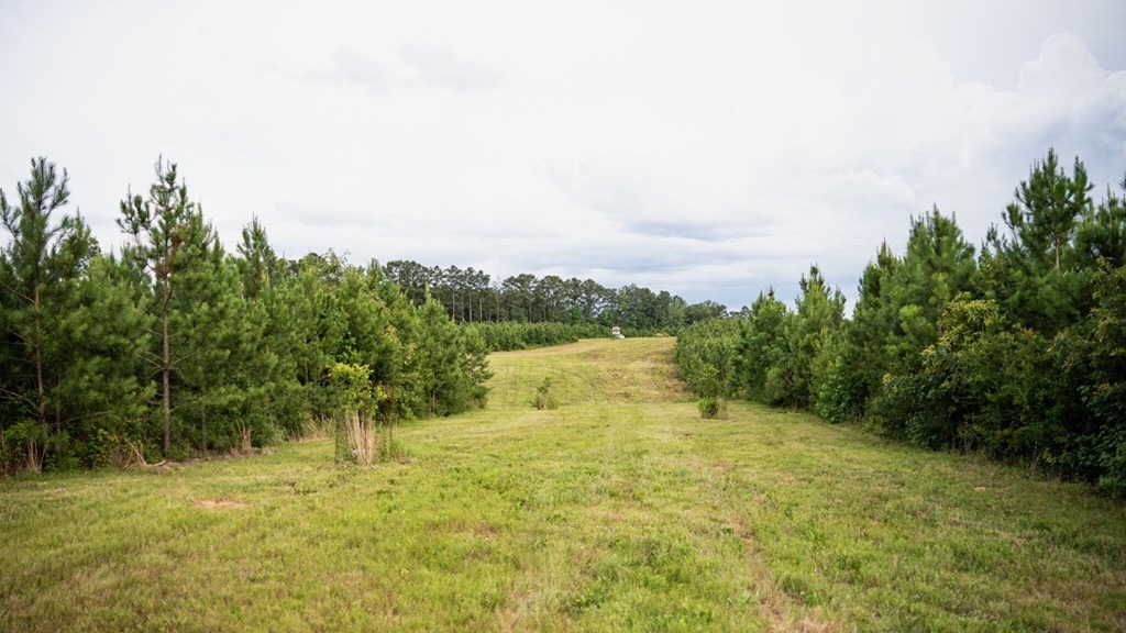 Mississippi Hunting Land – Easy 88 in Magnolia/Osyka
