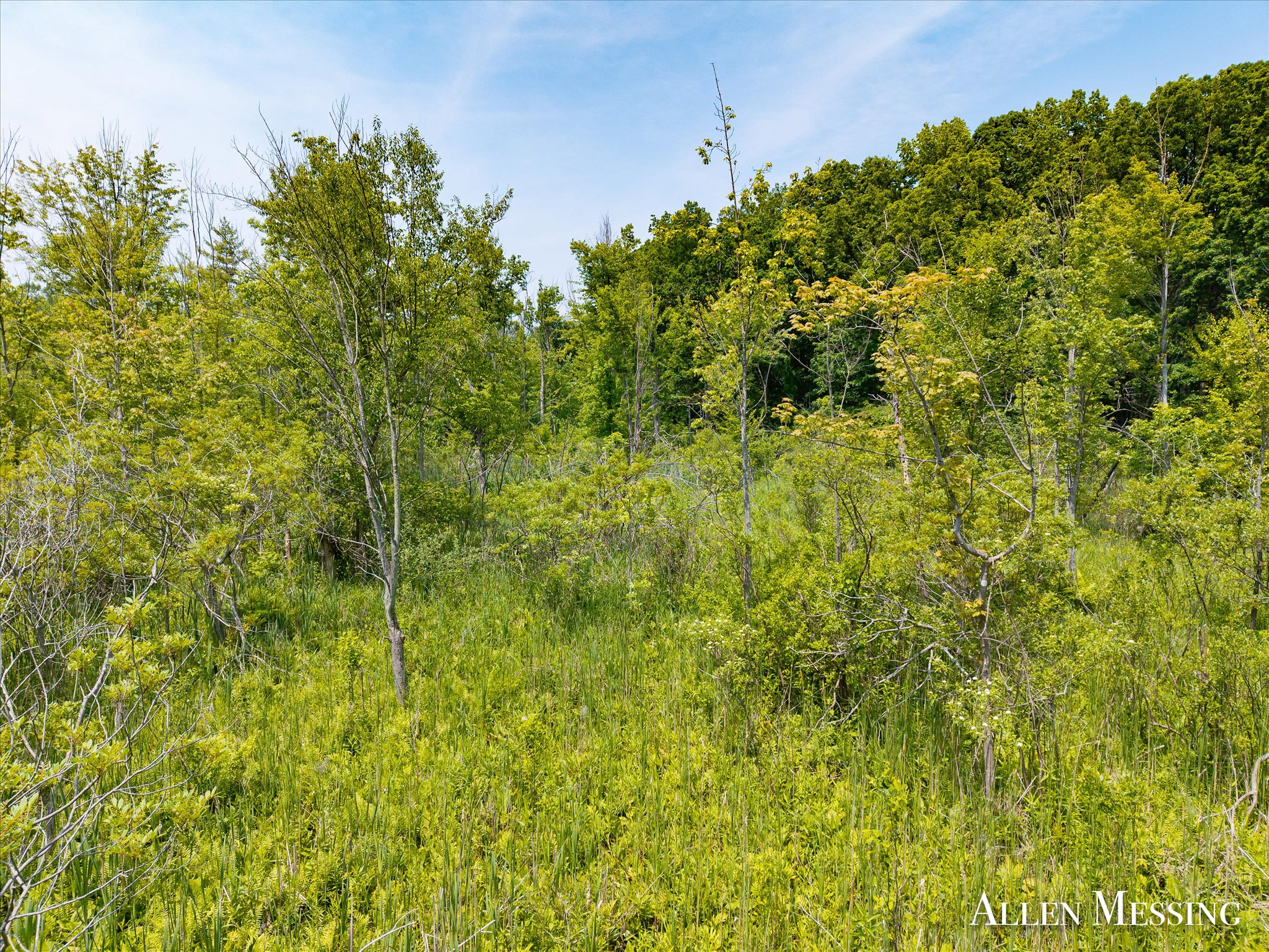 31+ Acre Property Excellent Hunting Habitat Allegan Cty MI