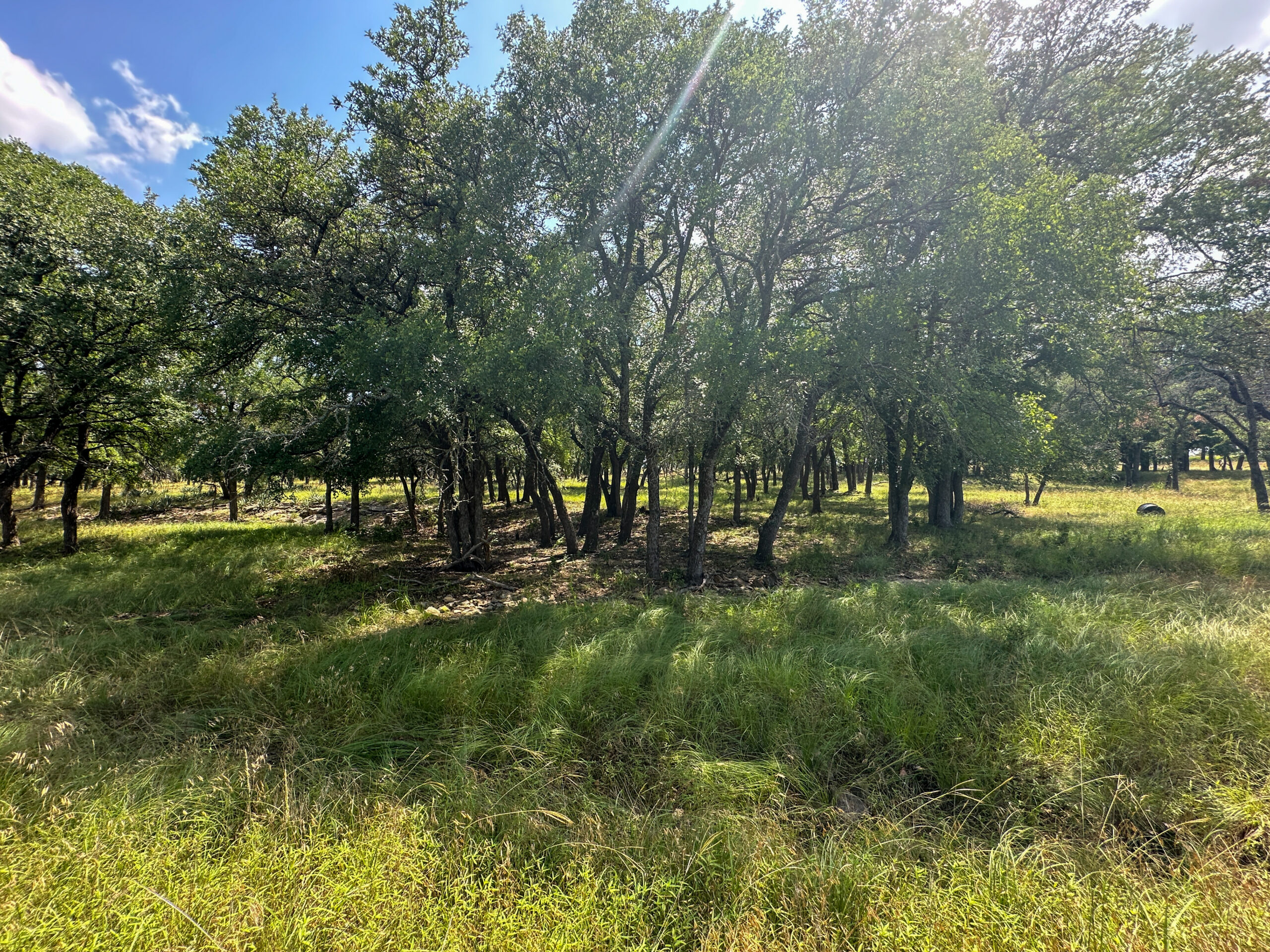 Own a Stunning Piece of Central Texas Land – Build, Hunt, or Escape
