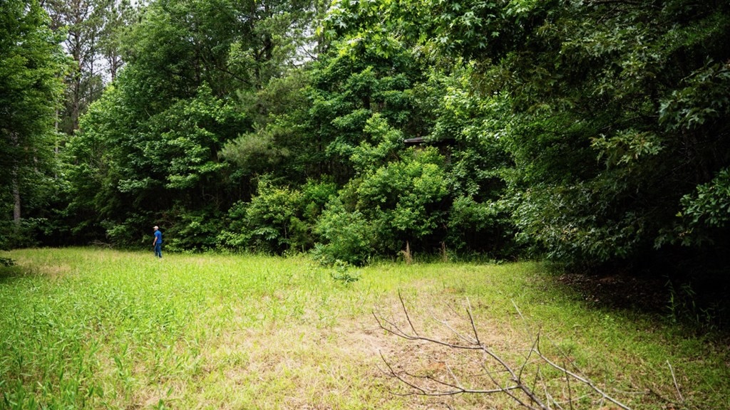 Hunting Land Near Homochitto National Forest, MS