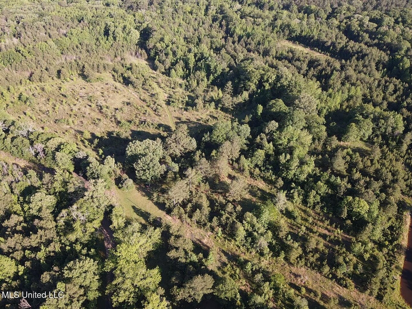 Great Homesite and Hunting Tract in Hermanville, MS