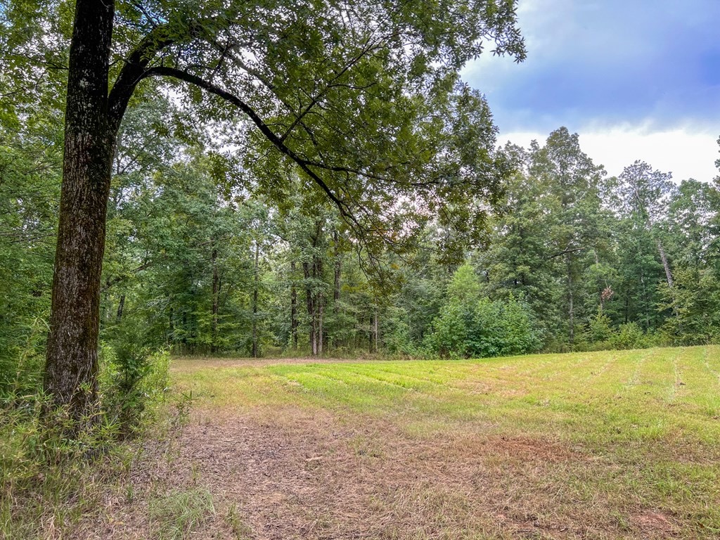 Hunting Land for Sale in Hinds County, MS