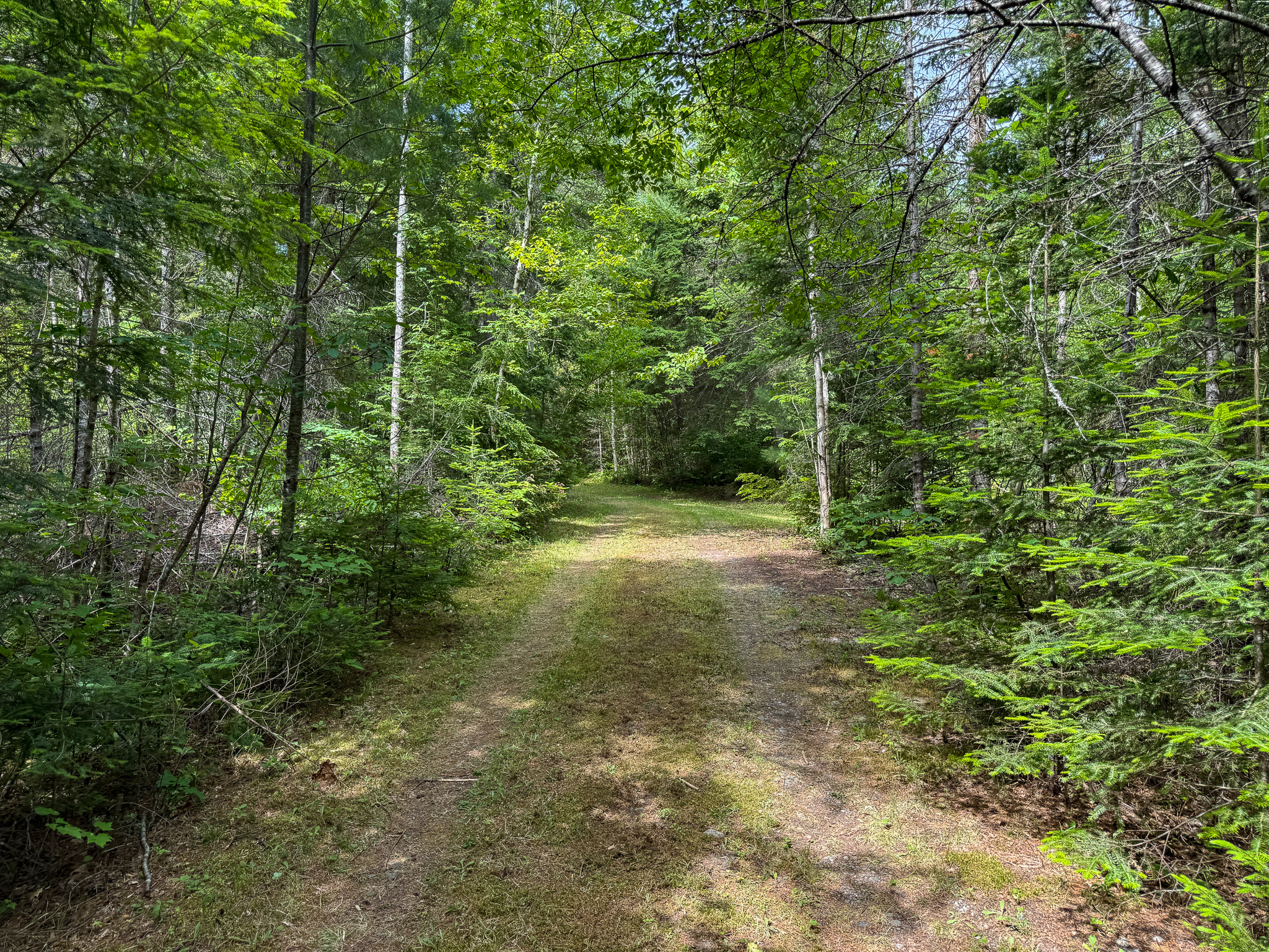 Off-Grid Maine Cabin for Sale | 26 Acres with Stream Frontage