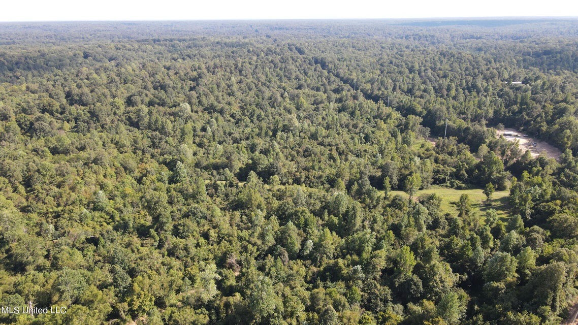 60 Acres For Sale In Yazoo County, MS