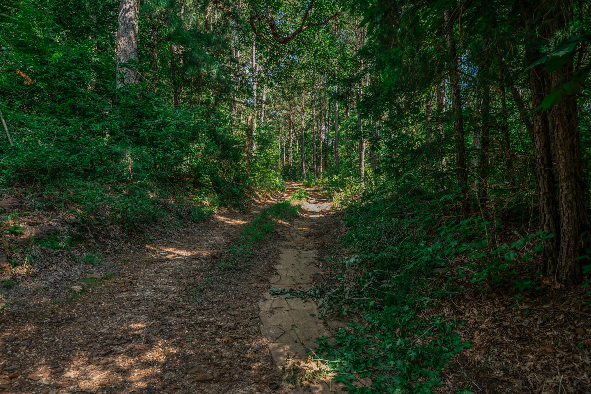 Gorgeous Acreage with Private Lake and Large House
